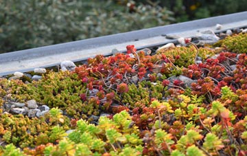 the cost of Sapiston green roof installation