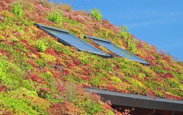 Sapiston living roof systems