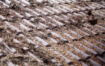 Sapiston roof cleaning companies