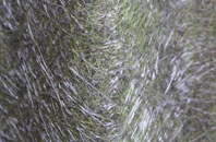 Sapiston fibreglass roof work